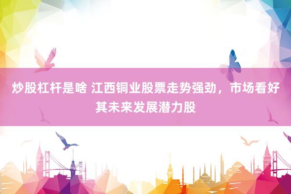 炒股杠杆是啥 江西铜业股票走势强劲，市场看好其未来发展潜力股