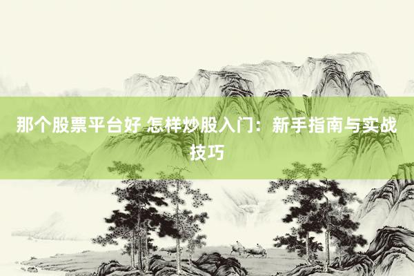 那个股票平台好 怎样炒股入门：新手指南与实战技巧