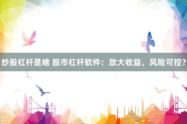 炒股杠杆是啥 股市杠杆软件：放大收益，风险可控？