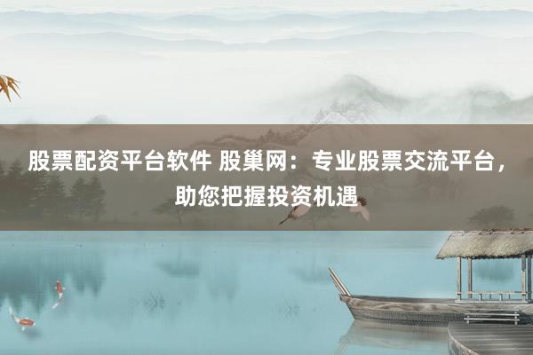 股票配资平台软件 股巢网：专业股票交流平台，助您把握投资机遇