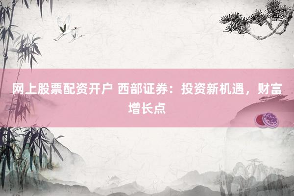 网上股票配资开户 西部证券：投资新机遇，财富增长点