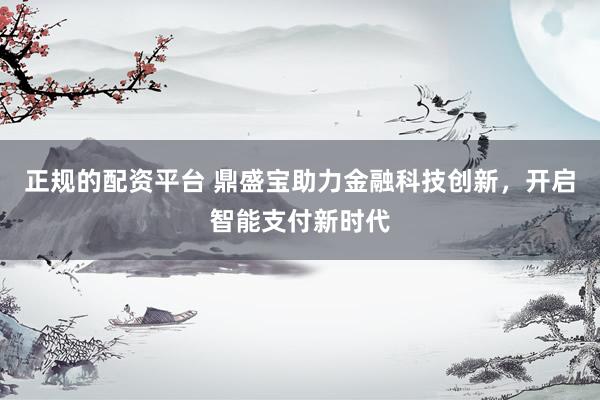 正规的配资平台 鼎盛宝助力金融科技创新，开启智能支付新时代