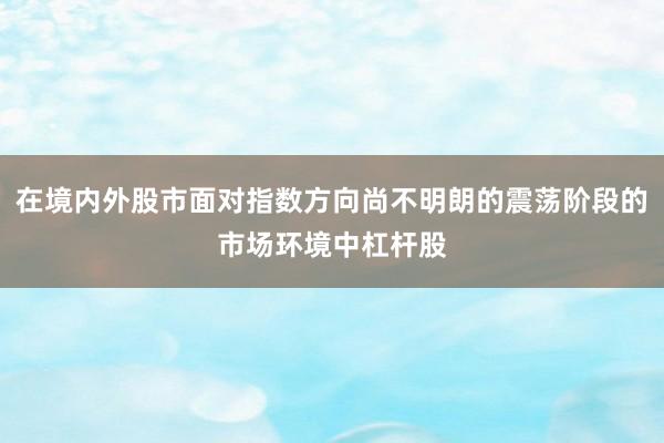在境内外股市面对指数方向尚不明朗的震荡阶段的市场环境中杠杆股