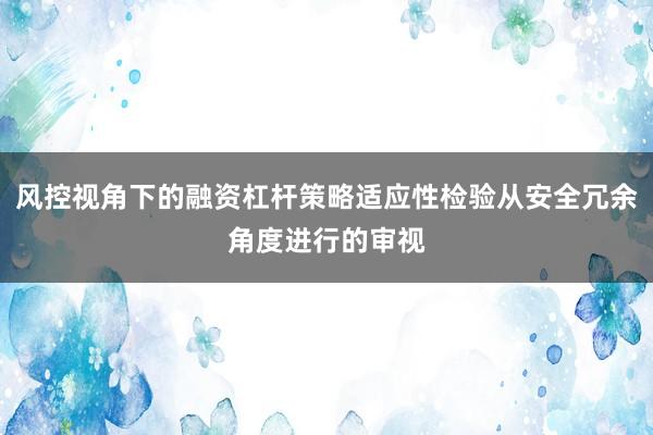 风控视角下的融资杠杆策略适应性检验从安全冗余角度进行的审视