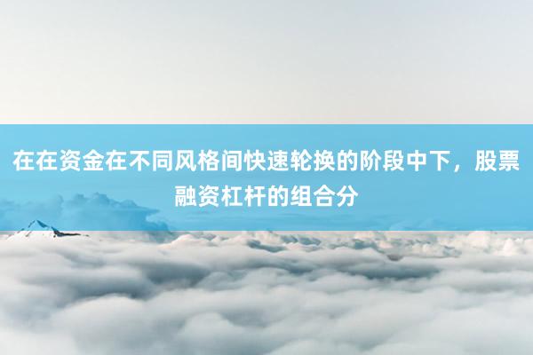 在在资金在不同风格间快速轮换的阶段中下，股票融资杠杆的组合分