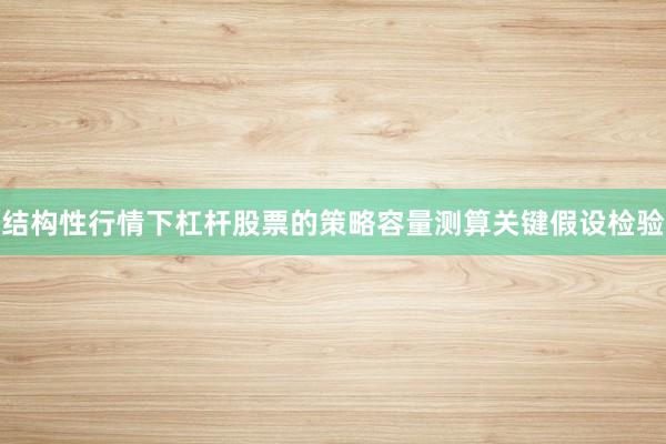 结构性行情下杠杆股票的策略容量测算关键假设检验