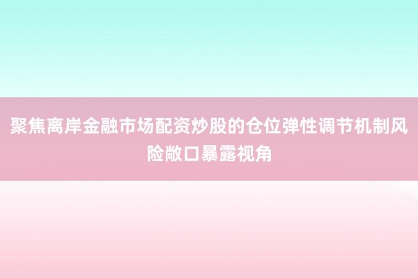 聚焦离岸金融市场配资炒股的仓位弹性调节机制风险敞口暴露视角