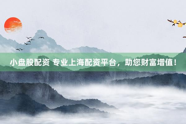小盘股配资 专业上海配资平台，助您财富增值！